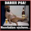 Patrik.sk