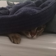 Ilundro - steam id 76561197964432347