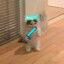 MinecraftCat