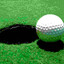 pro golfer