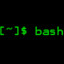 Bash