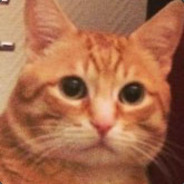 Sergent Michel à la rescousse !