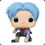 Trunks