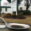 DemiLovato&#039;sSpoon