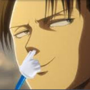 Levi