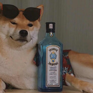 @sunnyhongyu我是盗号王