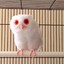 RedOwl