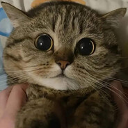 Саня Перфоратор