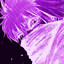 zerob1th