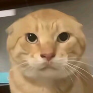 哈吉咪专卖南北绿豆Meme