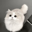 Meow meow