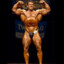 Bob Cicherillo