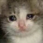 王牌飞行员坠机王