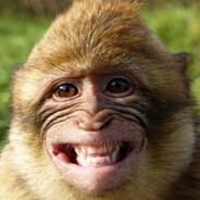 Insufferable monkey
