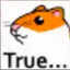 nitessbm