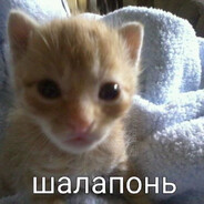 админ