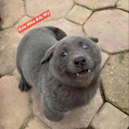 missingshot PAO MMMM