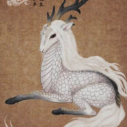 八月份的柿子