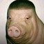 Porky