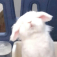 一闪一闪亮星星