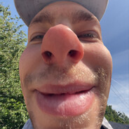 olasteer