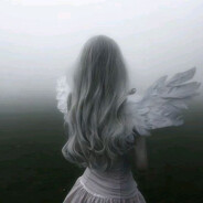 wonderfull