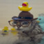 Baldedepatos