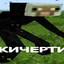 НА ЛЕЧЕНИЕ ДЕНИ