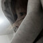 emosoldier