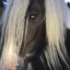 сырный носорог's avatar