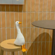 骨刀路上捡的不行吗？