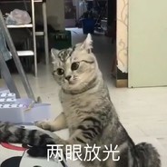 太太你也不想吧