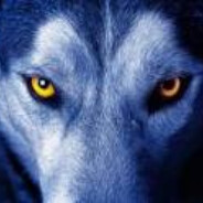WolF - steam id 76561199156712768