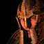 Avatar of 21 M4