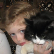 无敌暴龙战士CC