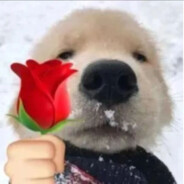 路路通GHH小花花版