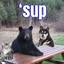 Sup