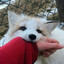 [FURRY] pl.uger
