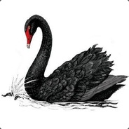 坚决不玩地精鸭