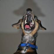 Psaxey