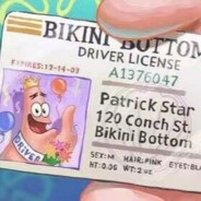 西红柿扒了番茄皮