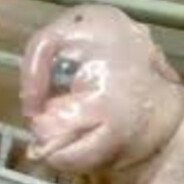 ? ? ? ?