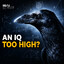 AN IQ TOO HIGH?