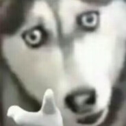 斯卡蒂玉竹炫我嘴里