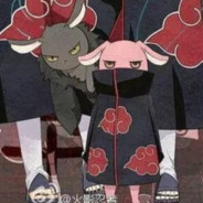 兜兜有喵天下无双