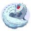 Alyssium_Dare