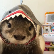 OTTERLOVER