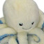 Plush Octopus