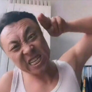 人畜无害神鹰哥