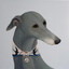 waterdust's avatar